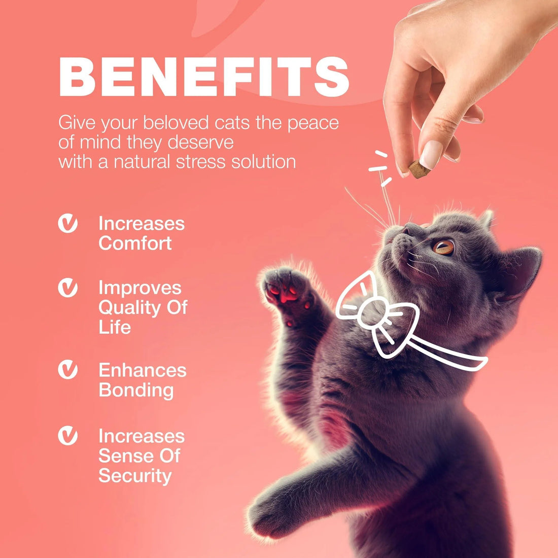 Flea Treatment For Cats Daily Oral Cat Flea And Tick Treatment Chews Chewable Kitten Flea Treatment Soft Treats For All Breeds & Ages Natural Chicken Flavor Flea And Tick Supplement For Cats